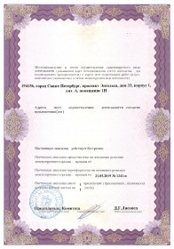 Лицензия страница 2